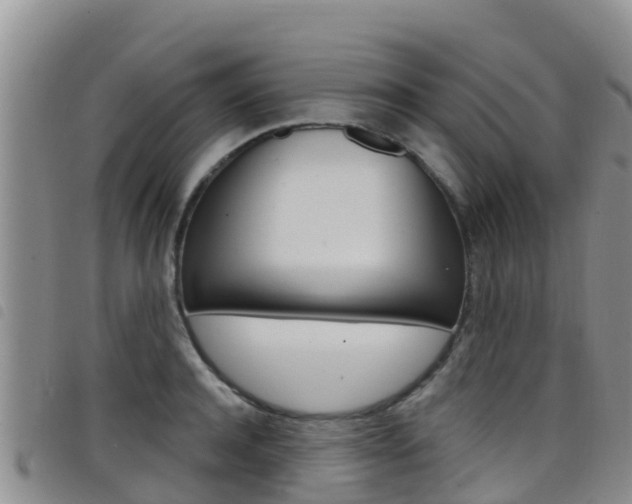 X0000098210944200804241058
