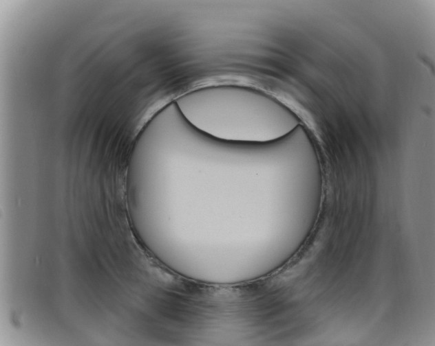 X0000098210945200804241058