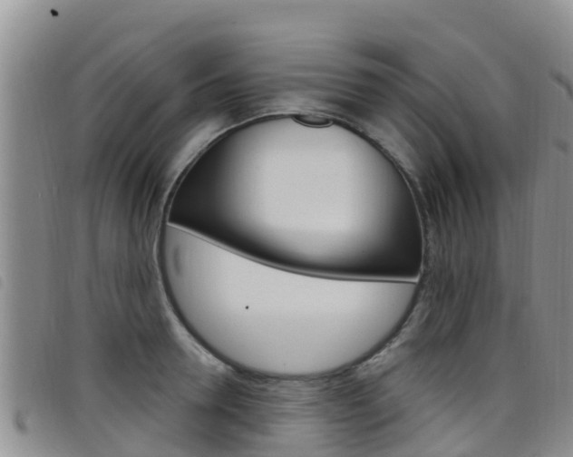 X0000098210946200804241058