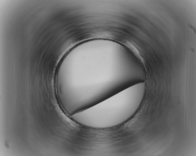 X0000098210947200804241059