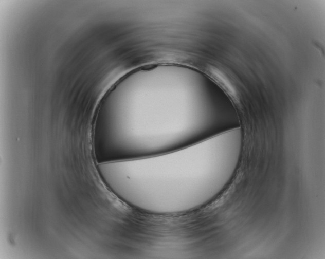 X0000098210948200804241059
