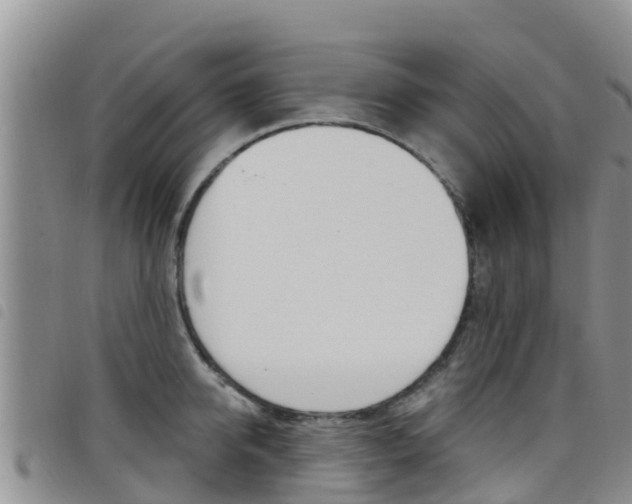 X0000098210950200804241059