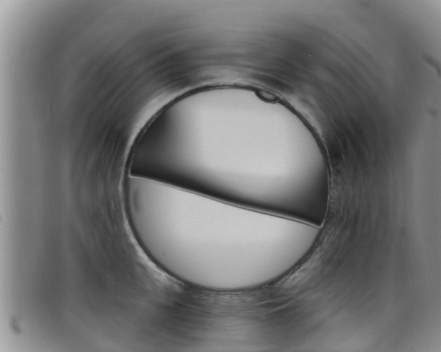 X0000098210951200804241059