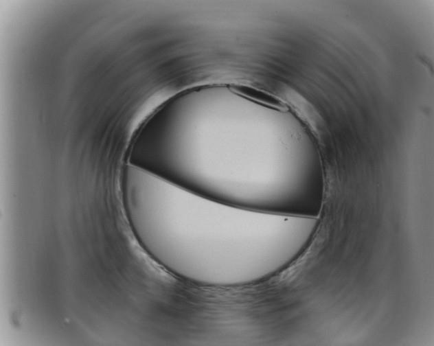 X0000098210952200804241059