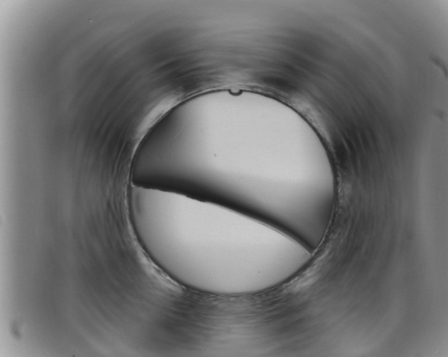 X0000098210954200804241059