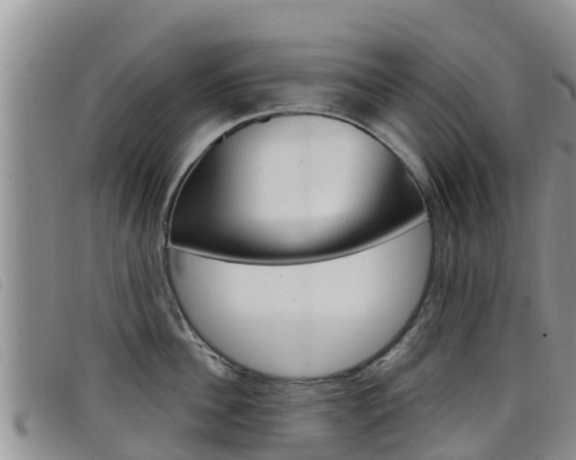 X0000098210956200804241059