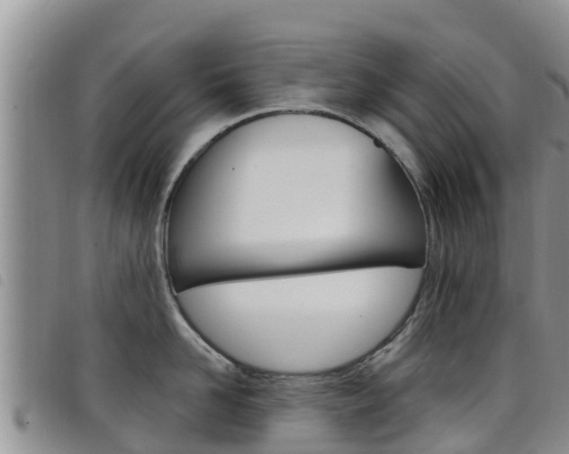 X0000098210958200804241059
