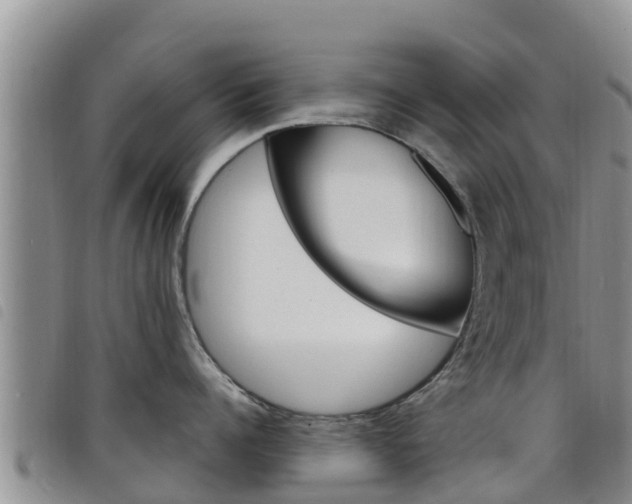 X0000098210960200804241059