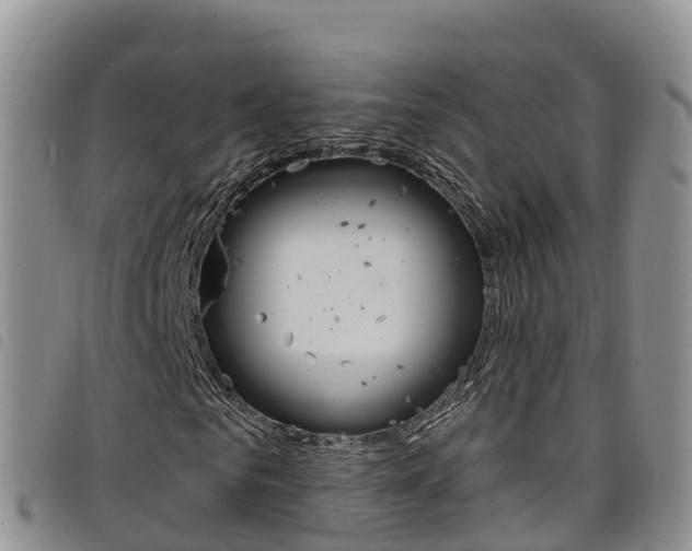 X0000098210961200804241058