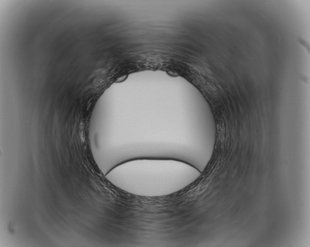 X0000098210962200804241058