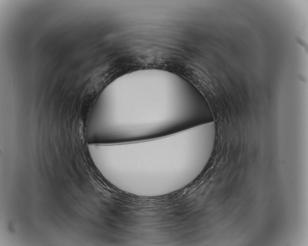 X0000098210963200804241058