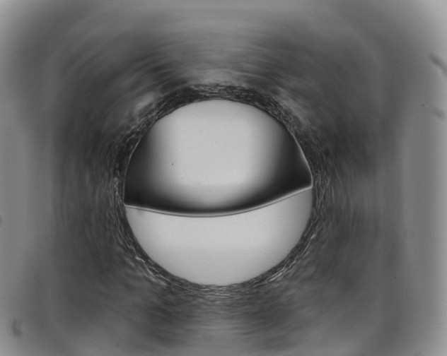 X0000098210965200804241058
