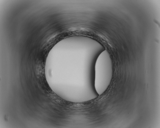 X0000098210966200804241058