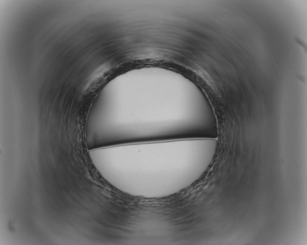 X0000098210967200804241058