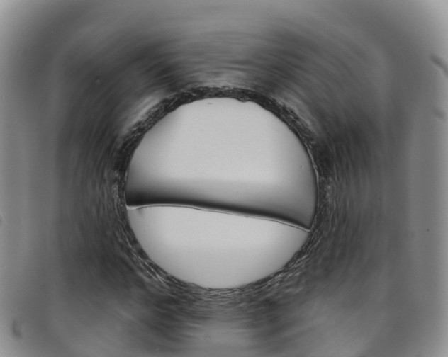 X0000098210968200804241058