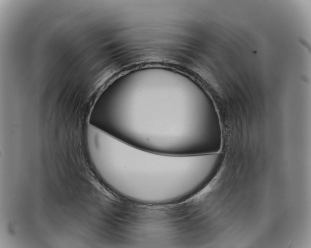 X0000098210969200804241058