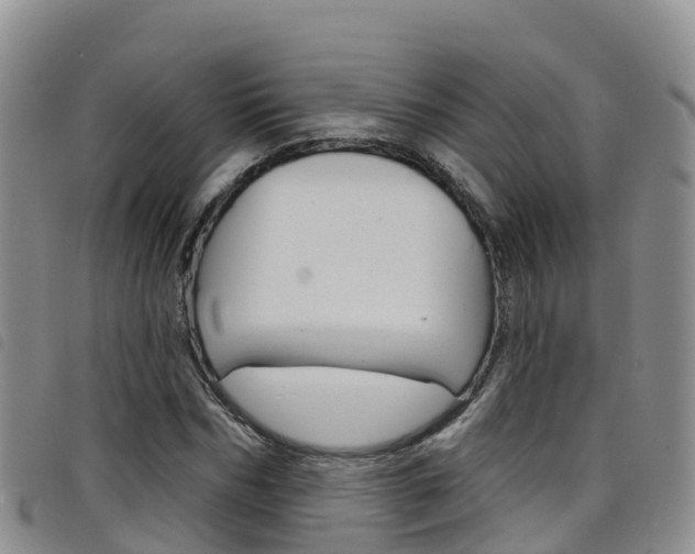 X0000098210970200804241058