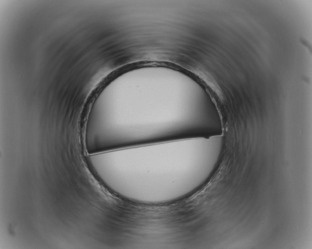 X0000098210972200804241058
