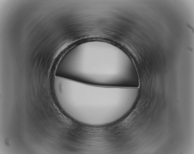 X0000098210975200804241058