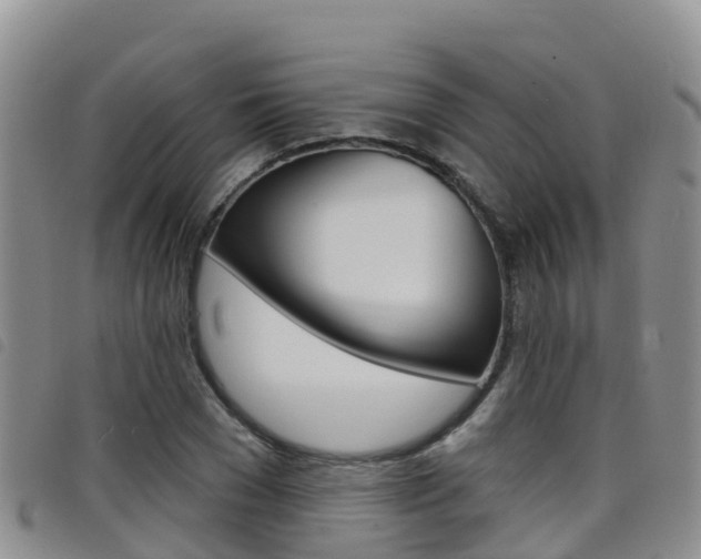 X0000098210977200804241058