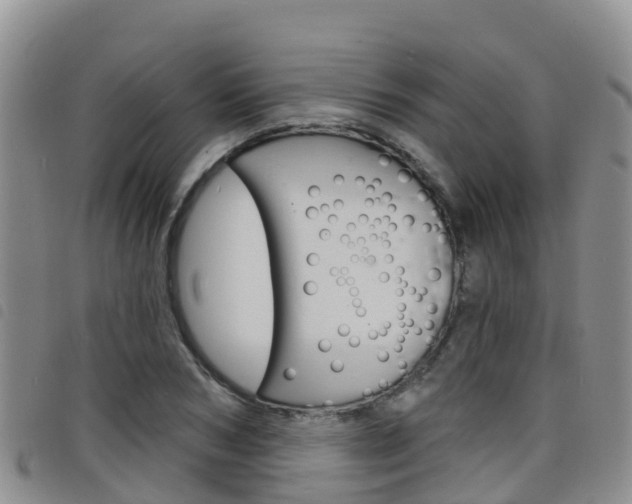 X0000098210978200804241058