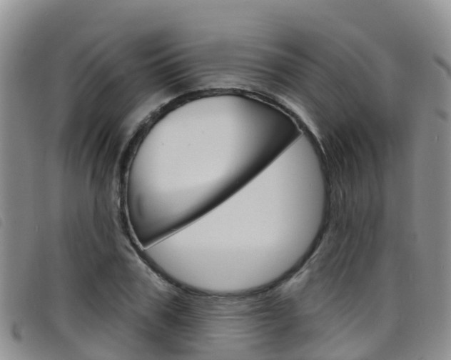 X0000098210979200804241058