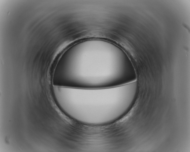 X0000098210981200804241058