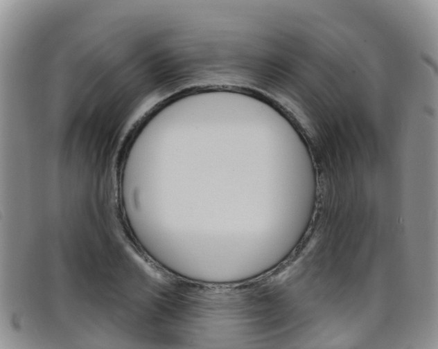 X0000098210982200804241058