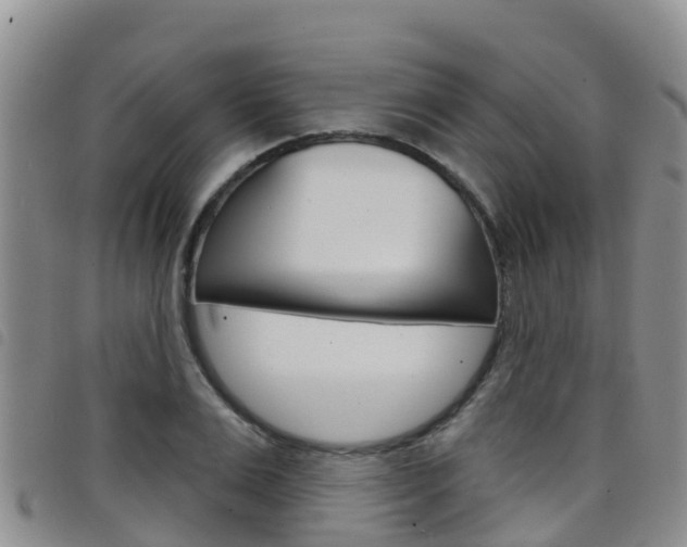 X0000098210983200804241058
