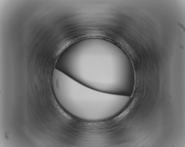 X0000098210985200804241058