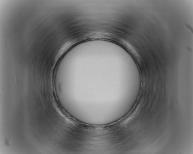 X0000098210986200804241058