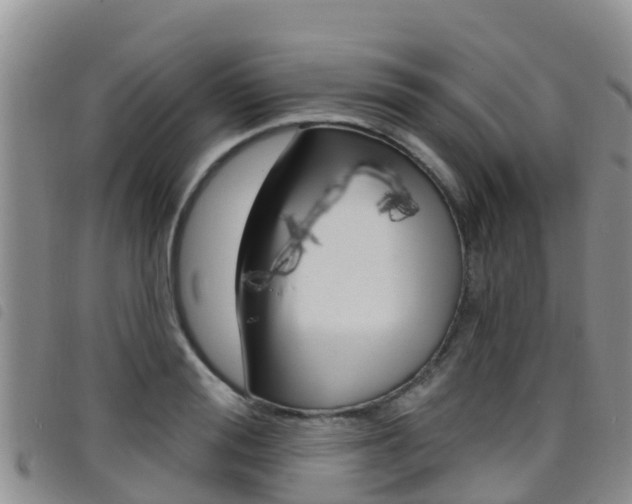 X0000098210988200804241058