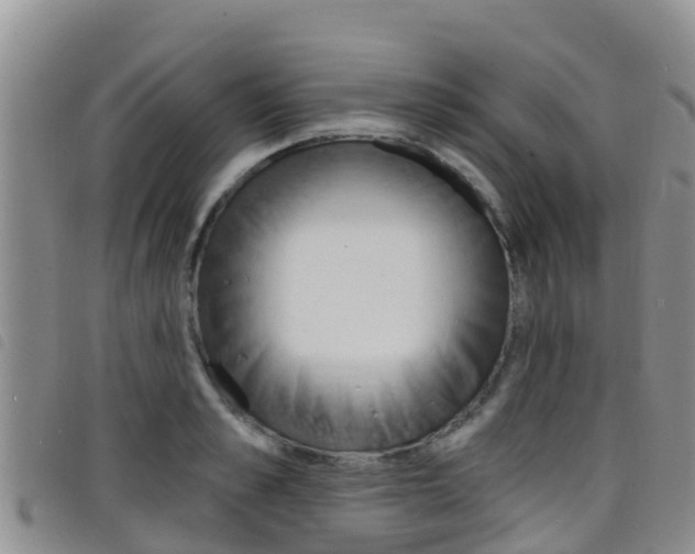 X0000098210989200804241058