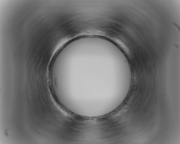 X0000098210990200804241058