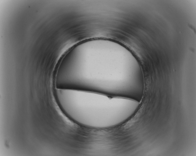X0000098210991200804241058