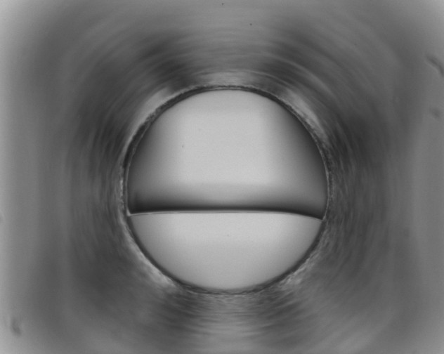 X0000098210992200804241058