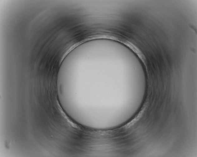 X0000098210993200804241058