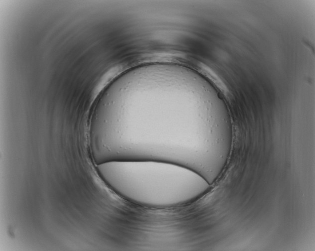 X0000098210994200804241058