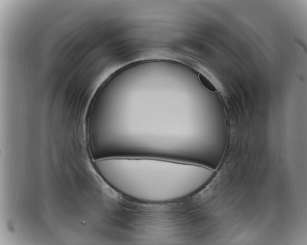 X0000098210996200804241058