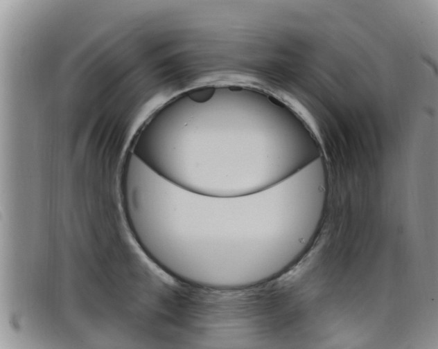 X0000098210997200804241058