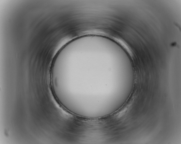 X0000098210999200804241057