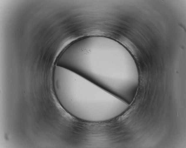 X0000098211000200804241057