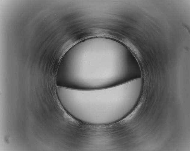 X0000098211001200804241057