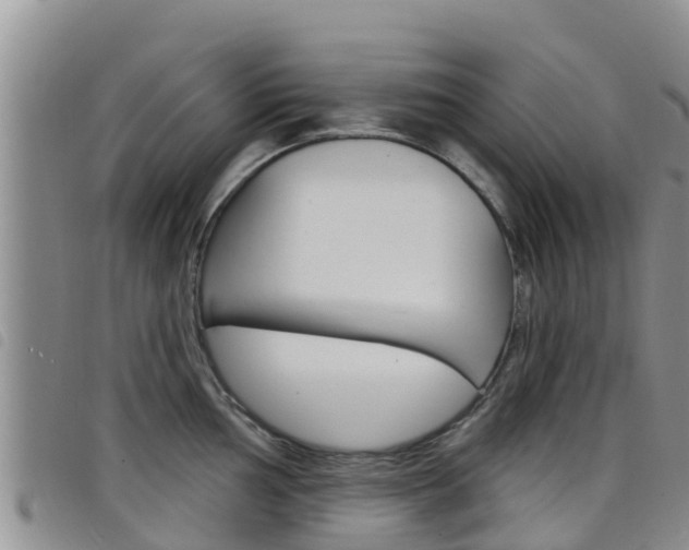 X0000098211002200804241057