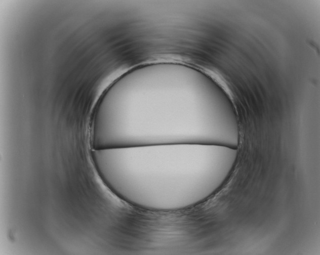 X0000098211003200804241057