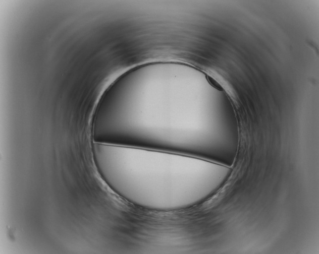 X0000098211004200804241057