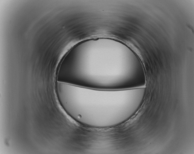X0000098211005200804241057