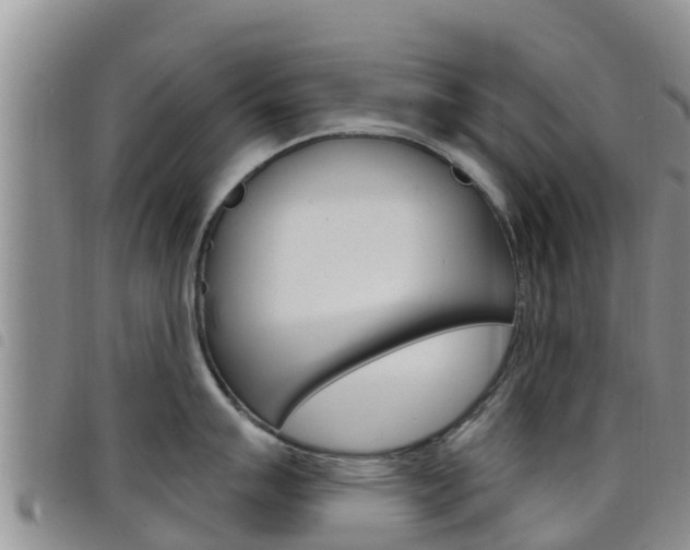 X0000098211007200804241057