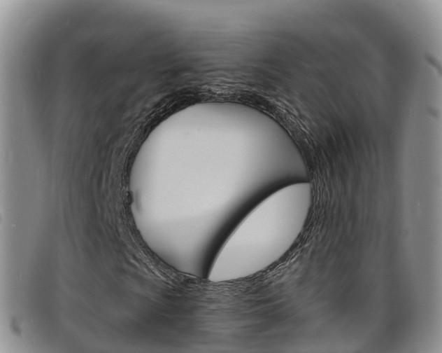 X0000098211009200804241056