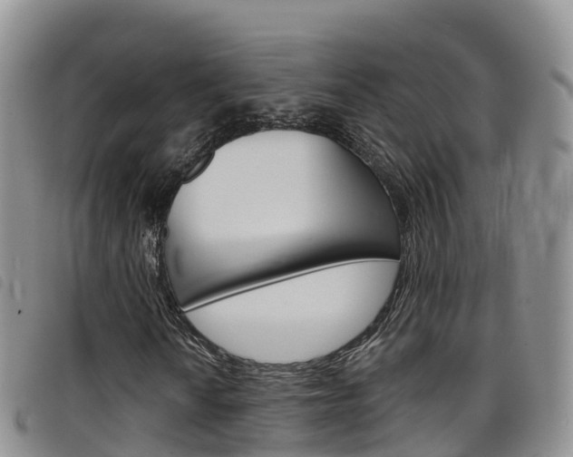 X0000098211010200804241057